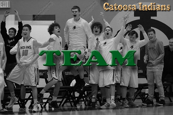 2016 Team poster 12x18